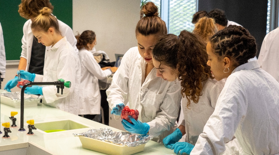 Photo d'élèves en laboratoire à l'École Jeannine Manuel de Paris